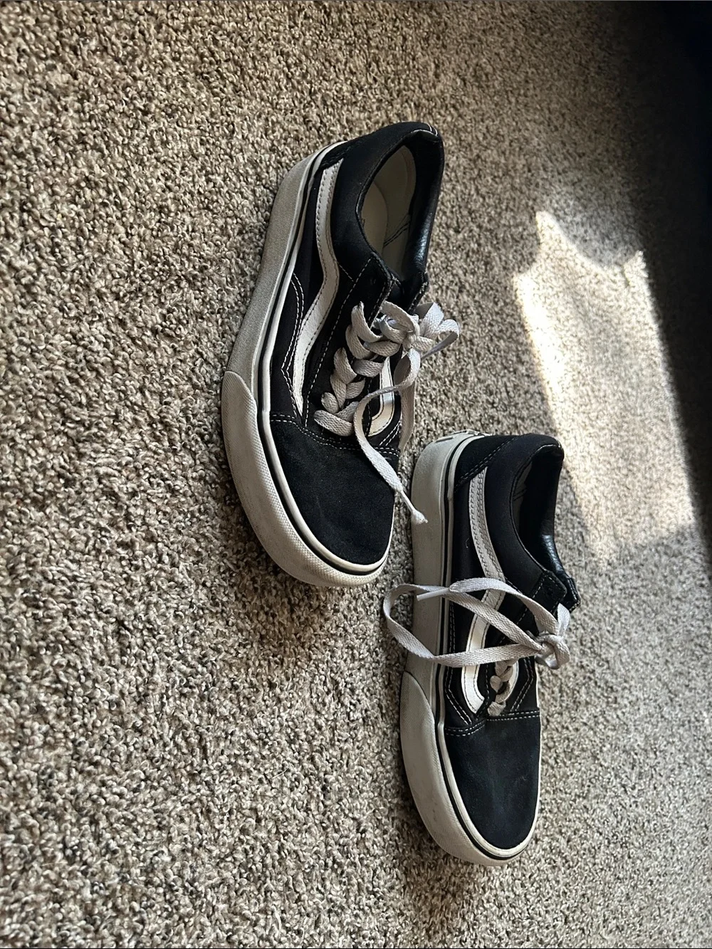 Vans Black and White Low-Top Skate Sneakers